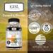 Kaya Naturals Platinum Mobility Turmeric - Bioperine Glucosamine Turmeric with Boswellia Healthy Natural Mobility Support Turmeric Curcumin 1334mg - 30 Capsules 60 Count (Pack of 1) - Buy Online on GoSupps.com