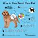 Freshly Bailey Self Cleaning Slicker Brush for Dogs and Cats - Top Grooming Tool for Medium to Large Pets - Buy Online on GoSupps.com