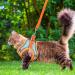 Kcysta Cat Harness and Lead Set Escape Proof Cat Vest Harness and Leash Set Adjustable Cat Harness Escape Proof with Reflective Strip for Outdoor Walking Training (Orange S) - Buy Online on GoSupps.com