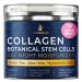 Collagen Moisturizer for Face Neck & D collet with Airless Pump - Collagen Botanical Stem Cells Cream for Neck Face and Skin - Anti-Aging Day & Skin Tightening - Day & Night Face Cream Made in USA (50 ml)