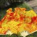 Beyiwenoo Premium Silk Belly Dance Fan Veil - 1 Pair (Orange) - 71 Length x 35 Width - For Dancing Show and Flow Arts - Buy Online on GoSupps.com