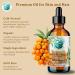 Pure Sea Buckthorn Oil 236 ml Unique Nutrient Blend Nourishing Non-Greasy Radiant Glow for Skin Softness for Hair Bella Terra Oils  - Buy Online on GoSupps.com