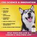 CB2 Hemp Oil for Dogs 225 000mg / 240ml / Organic - Extra Strength for Pain/Arthritis/Inflammation/Separation Anxiety/Stress/Aggression/Barking. Advanced Hip and Joint Supplement 240 ML - Buy Online on GoSupps.com