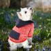 Waterproof Winter Dog Coat - Warm Jacket & Fleece Sweater for Puppies & Small Dogs - Autumn Pet Clothing (1107debkb-Red L) - Buy Online on GoSupps.com