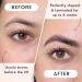 Premium Brow Lamination Kit - DIY Eyebrow Lift Set | Vegan Cruelty-Free | Castor & Olive Oil | Salon Quality Results - Buy Online on GoSupps.com
