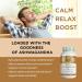 Organic Ashwagandha Capsules Full Strength with Black Pepper Extract - 120 Veg Capsules. 120 Count (Pack of 1) - Buy Online on GoSupps.com