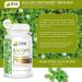 Jiva Botanicals Organic Bacopa Monnieri Capsules - 300mg Extract for Brain Health - Memory, Focus, Energy & Clarity Support - 60 Capsules - Buy Online on GoSupps.com
