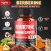 25in1 Premium Berberine Supplement 25600mg with Ashwagandha, Turmeric & More - Immune & Cardio Support - 60 Capsules - Buy Online on GoSupps.com