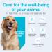 Vetoquinol Zylkene Veterinary Health Product - Calm and Relaxed Behaviour in Pets During Stressful Events - 75 mg - Small Dogs - 14 Units Small Dogs 75 mg - Buy Online on GoSupps.com