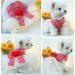 BT BEAR SMALLY DISCHING Princess Dress for Cats & Small Dogs | Rock PUPS ROCK Tutu | Perfect Wedding & Party Outfit in Red - Buy Online on GoSupps.com