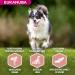 Eukanuba Senior Adult Dog Dry Food For Small and Medium Breeds Lamb & Rice 2.5kg - Buy Online on GoSupps.com
