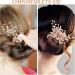 Healeved 1 Set Hair Clips Side Hair Combs Decorative Hair Combs Hair Accessories For Women Hair Forks Hair Styling Hairpins For Women Girls - Buy Online on GoSupps.com