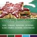 Highly Concentrated Sugar-Free Food Color Set - 5x10ml for Drinks Cakes Dough & More | Perfect Baking Accessories for Christmas | Tortendendeko - Buy Online on GoSupps.com