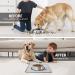 Coomazy Silicone Dog & Cat Bowl Pad | Slip-Resistant Waterproof Feed Mat (30x30cm Ash) - Perfect for Pets - Buy Online on GoSupps.com