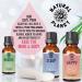 Natural Planet Jasmin Essential Oil Happy Blend 15ML - Uplifting Aromatherapy - Buy Online on GoSupps.com