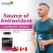 Renew Actives High Potency D-Mannose & Cranberry Complex 1000MG per 2 Capsules with Hibiscus & Dandelion Extracts Antioxidant Blend No Artificial Flavours - Made in Canada - 120 Capsules - Buy Online on GoSupps.com