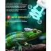 Tobebright 13W UVB Lamp 5.0 - Optimal Compact Fluorescent Lamp for Reptiles Aquariums & Terrariums | E27 AC220-240V - Buy Online on GoSupps.com