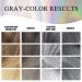 Silver Gray Hair Dye Shampoo 3 in 1 | Root Touch-Up & Grey Coverage for All Hair Types | Lasts Up to 3 Weeks | Natural Plant-Based Formula - Buy Online on GoSupps.com