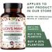 Plant.O Premium Lion's Mane Nootropic Brain Supplement - 5 Mushroom Complex for Immunity, Focus & Memory Boost - 90 Caps - Buy Online on GoSupps.com