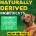 TropiClean Mint Foam for Pets 4.5oz | Freshens Breath | Made in USA - Buy Online on GoSupps.com