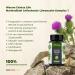 Mary Thistle Complex - 80% Silymarin Capsules with Dandelion & Artichokes | High Dose Vegan Supplement with Zinc Selenium & Vitamin E - 120 Lab-Tested Capsules - Buy Online on GoSupps.com