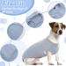 Hjumarayan Dog Sweater for Small Dogs - Washable Elastic Striped Shirt for Chihuahua & Yorkshire Terrier - Light Blue XS - Buy Online on GoSupps.com
