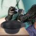 Hairdressing Hair Color Bowl Coloring  - Buy Online on GoSupps.com