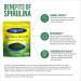 Earthrise Spirulina Natural Powder 16oz Natural Premium Spirulina from California- Vegan Gluten Free Keto Friendly Non -GMO Super Food high in Vitamins & Minerals. (1 LB) - Buy Online on GoSupps.com