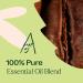 Plant Therapy Peppermint Latte Essential Oil Blend 10mL - Energizing Coffee & Mint Aroma - Buy Online on GoSupps.com