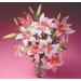 Design Master Just for Flowers Spray Dye Wild Rose 11oz - Enhance Your Floral Arrangements with Vibrant Color - Buy Online on GoSupps.com