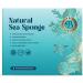 Jordan Benedict Natural Sea Sponge for Bath and Shower (XXL Pack of 1) XXL (Pack of 1)