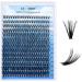 280pcs 0.07mm 40D D-Curl Cluster Lashes Mix 8-16mm - GEMERRY Soft Natural Reusable DIY Eyelash Extensions - Buy Online on GoSupps.com