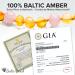Baltic Proud Amber Necklace - 12.5 Inches - Buy Online on GoSupps.com