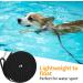 Pettom Reflective Dog Leash - 5m Training Line with Hand Loop & 2 Carabiners for Small to Medium Dogs - Durable Black Rope Leash - Buy Online on GoSupps.com