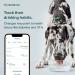 Whistle Health Smart Device for Dogs | Fitness & Activity Tracker - Green - Buy Online on GoSupps.com