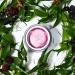 When Beauty Berry Dual Gel & Cream Anti-Aging Facial Sleeping Mask - Cruelty-Free 30ml - Unisex Skincare - Buy Online on GoSupps.com