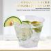 FOCUSLINE 9 oz Clear Plastic Cups - 100 Pack | Reusable & Heavy Duty Tumblers for Wedding, Thanksgiving, Halloween, Christmas Party - Buy Online on GoSupps.com