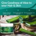 Organic Aloe Vera Gel 12 Oz - Clinically Tested & Dermatologist Approved for Hydrated Skin & Hair | Allurials Aloe Gel for Acne, Sunburn, and Dandruff Relief - Buy Online on GoSupps.com