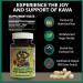 Kava Capsules | Authentic Kava Kava from Fiji | Fast Acting Kava Extract | 50mg of Kavalactones | Adaptogenic Experience | Certified 3rd Party Testing | 30 Count - Buy Online on GoSupps.com