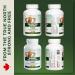 Vitanergy L-Theanine Mental Focus & Calmness - Promote Stress Anxiety Relief Relaxation and Sleep Aid - 100mg Chewable Tablets 60ct Tropical Flavor- Made in Canada - Buy Online on GoSupps.com