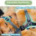 Breathable Dog Muzzle with Velcro Straps - Small Size for Training, Biting, Chewing Control - Pet Mouth Guard Cover for Large Dogs - Buy Online on GoSupps.com