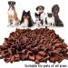 IEUMLER Sniffing Carpet Training Mat for Dogs & Cats - 45x45cm Brown | Sniffing Ceiling Feed Mat for Pet Smell Training - Buy Online on GoSupps.com