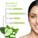 Good Vibes Cucumber Glow Toner - Natural Hydrating Face Spray for All Skin Types | Pore Tightening Alcohol-Free Paraben-Free Sulfate-Free (200ml - Buy Online on GoSupps.com
