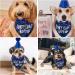 Dog Birthday Hat & Bandana Set - 3pcs Blue Dog Party Accessories for Boys & Girls - Perfect for Puppies & Cats - Buy Online on GoSupps.com