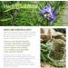Healing Solutions Rosemary Essential Oil - 60ml (2 oz) - Pure Therapeutic Grade Aroma for Wellness & Relaxation - International Shipping Available - Buy Online on GoSupps.com
