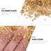 FRCOLOR 1 Glass Chip Irregular Glass Glitter Ornaments Glass Epoxy Resin Filler Nail Crystal Charms Crushed Crystal Chips Chunky Flakes Sequins Shiny Nail Glitter 3D Jewelry Self Made 0.5X0.3cm Golden - Buy Online on GoSupps.com
