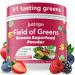 Field of Greens - Greens Powder Organic Daily Super Greens Powder Drink with Moringa Spirulina Wheat Grass Barley Grass Lemon Beet Root for Daily Nutrition - 28 Scoops (Mixed Berry Flavor) Mixed Berry 5.3 Ounce (Pack of 1)