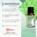 Rocky Mountain Oils Lemongrass Essential Oil - 15ml | Best for Diffusers & Topical Use - Premium Quality Essential Oil for Home & Wellness - Buy Online on GoSupps.com