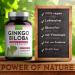 Ginkgo Biloba 3000 - 2x365 Capsules | Price-Performance Winner + B Vitamin Complex | Additive-Free Lab-Tested Made in Austria - Buy Online on GoSupps.com