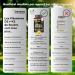 Vitamine D3 K2 MK7 - Vitamin D3 2000UI - Vitamine K2 MK7 100 g - Avec de l'Huile d Olive Vierge - 180 Softgels Sans Gluten - Hautement Dos Haute Biodisponibilit - Os Muscles Syst me Immunitaire - Buy Online on GoSupps.com